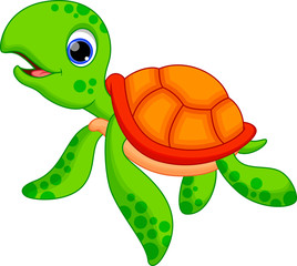 Cute turtle cartoon