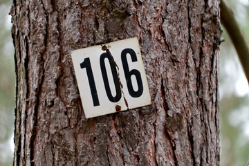 arbre num&eacute;ro 106