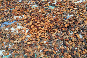 Dried beans