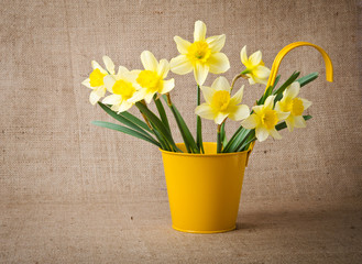daffodils in a yellow flowerpot