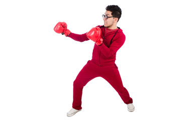 Funny boxer isolated on white