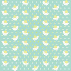 White daisies background
