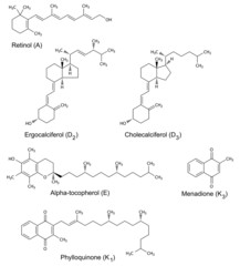 Chemical formulas of liposoluble vitamins
