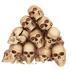 skulls are stayed on one another