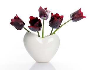dark tulips