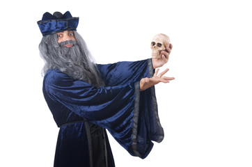 Wizard isolated on the wise background