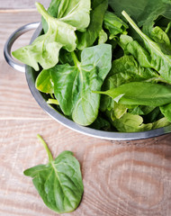 Fresh spinach and sorrel