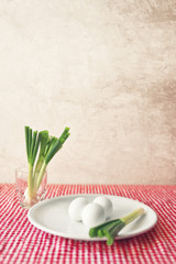 Fototapeta na wymiar Boiled chicken eggs and fresh spring onion for breakfast