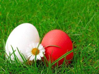 Easter eggs on green meadow.