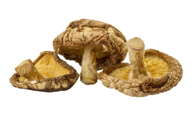 Dry asian mushroom