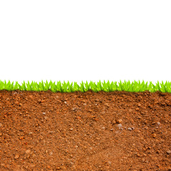 cross section of grass and soil against white background