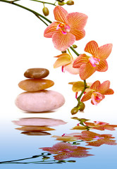 Obraz na płótnie Canvas Massage stones and yellow orchid.