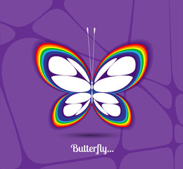 Image of a butterfly