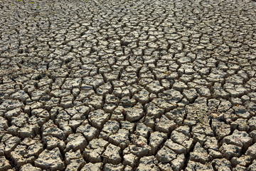 Dry Cracked Earth - Drought