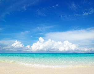 Fototapeta na wymiar tropikalna plaża i morze