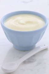 Fresh plain yogurt