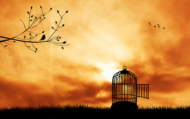 Obraz premium birdcage silhouette