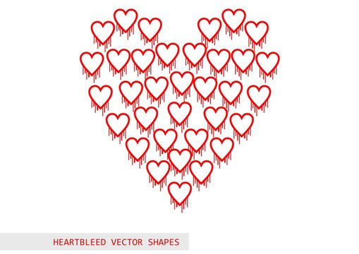 Heartbleed openssl bug vector shape