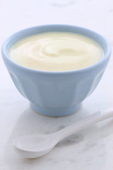 Fresh plain yogurt