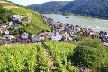 Fototapeta premium Assmannshausen (Blick vom Nord, Sommer 2013)