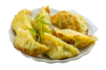 Japan dumplings - gyoza