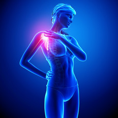 female shoulder pain anatomy in blue