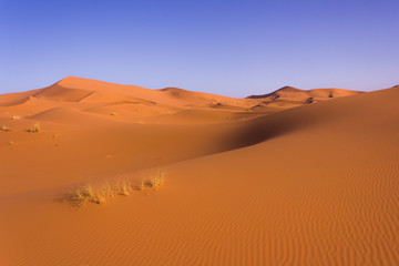 Fototapeta na wymiar Deserto Sahara