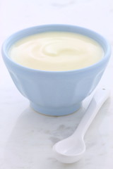 Fresh plain yogurt