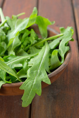 Fototapeta premium arugula