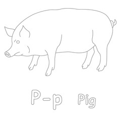 P for Pig Coloring Page