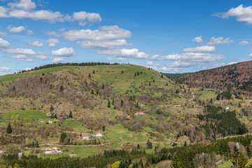 Fototapeta na wymiar paysage des Vosges