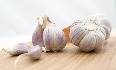 Garlic
