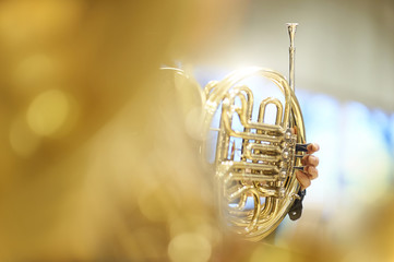 French horn with fingers, valves and tubes