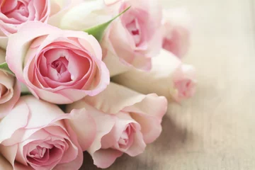 Fotobehang Pink Roses © MissesJones