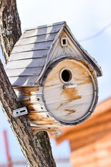 Birdhouse for the birds