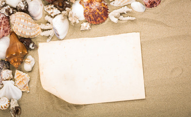 Sea shells on beach sand with old paper. Summer background