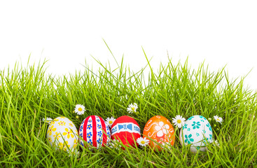 Easter Eggs with flower on Fresh Green Grass over white backgrou