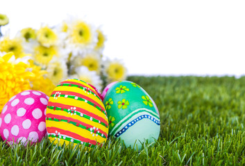 Easter Eggs with flower on Fresh Green Grass over white backgrou