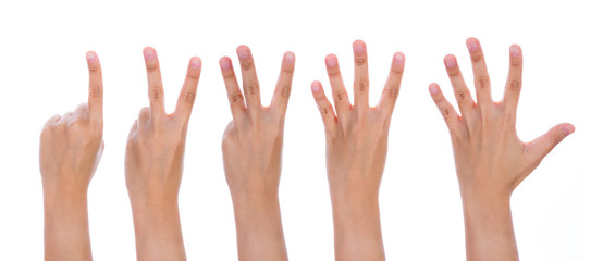 Five counting female hands isolated on white background