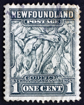 Postage stamp Newfoundland 1932 Codfish, Newfoundland Currency