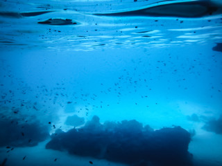 Snorkelling from Kayaks