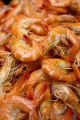 boiled Shrimp