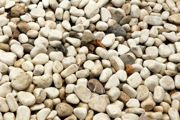Pebble close-up