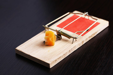 Mousetrap with cheese on wooden background