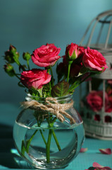 Beautiful small pink roses, on blue background