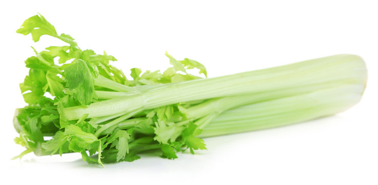 Fresh green celery isolated on white