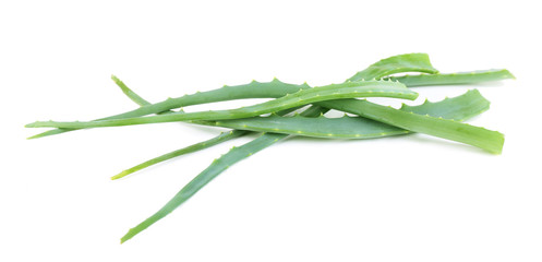 Fototapeta premium Fresh green aloe leaves, isolated on white