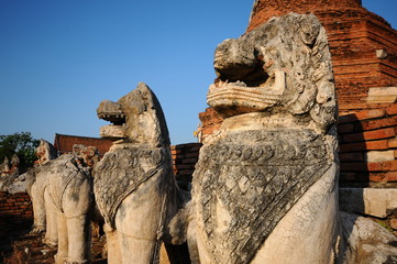 Fototapeta premium Old temple in Ayutthaya historical park, Thailand