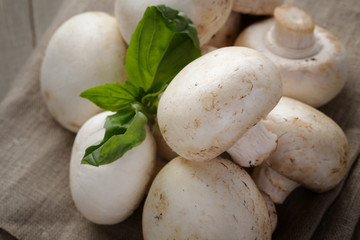 fresh white champignon on wood table