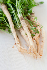 Parsley roots